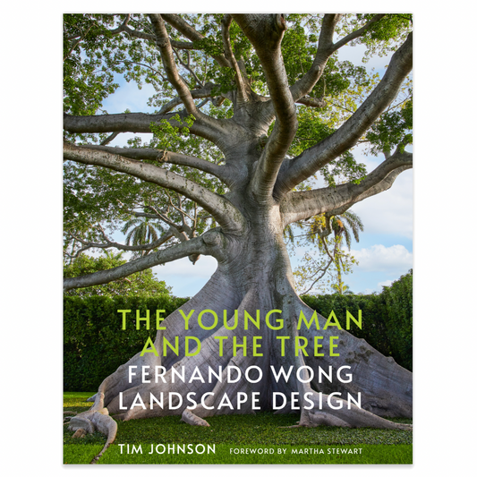 The Young Man and The Tree, Fernando Wong Landscape Design - Signature Edition