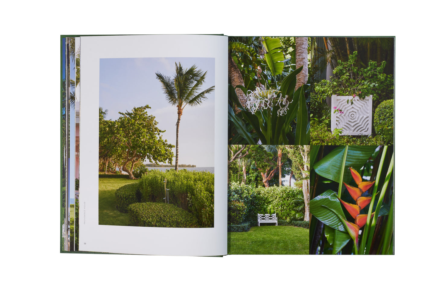 The Young Man and The Tree, Fernando Wong Landscape Design - Signature Edition