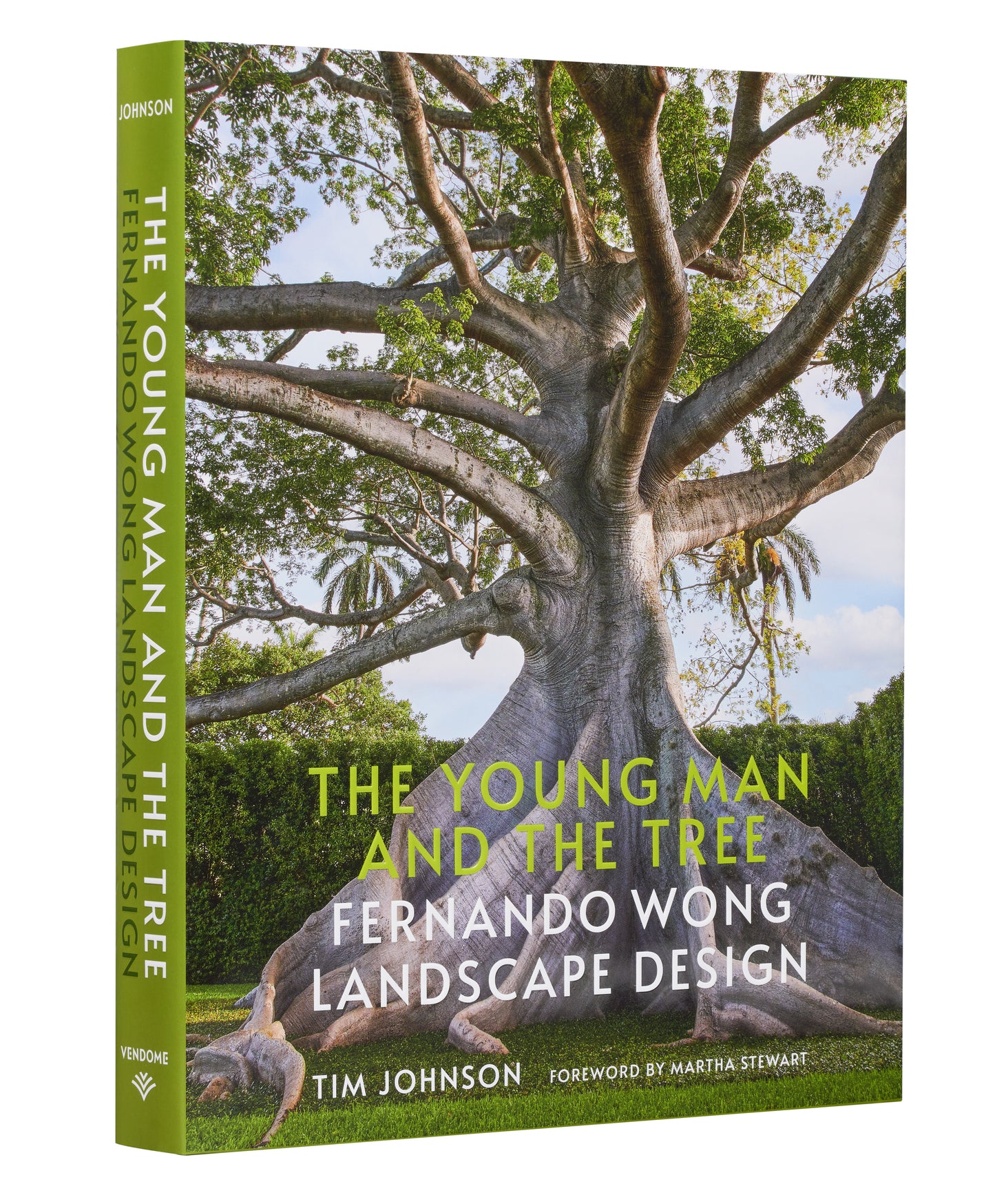 The Young Man and The Tree, Fernando Wong Landscape Design - Signature Edition